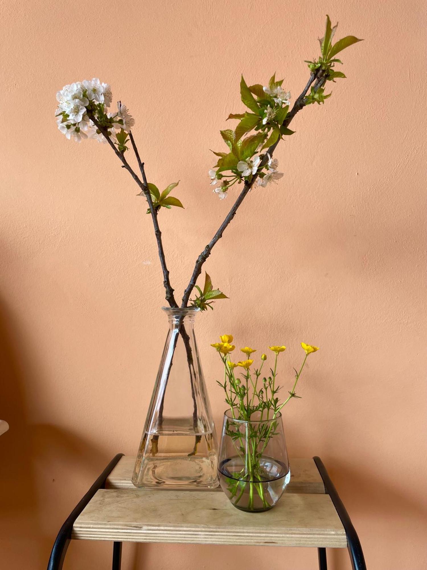 Studio Rosa Miagliano Exteriér fotografie